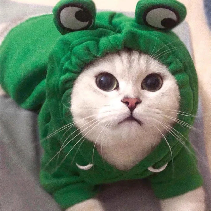 Frog Plush Hoodie