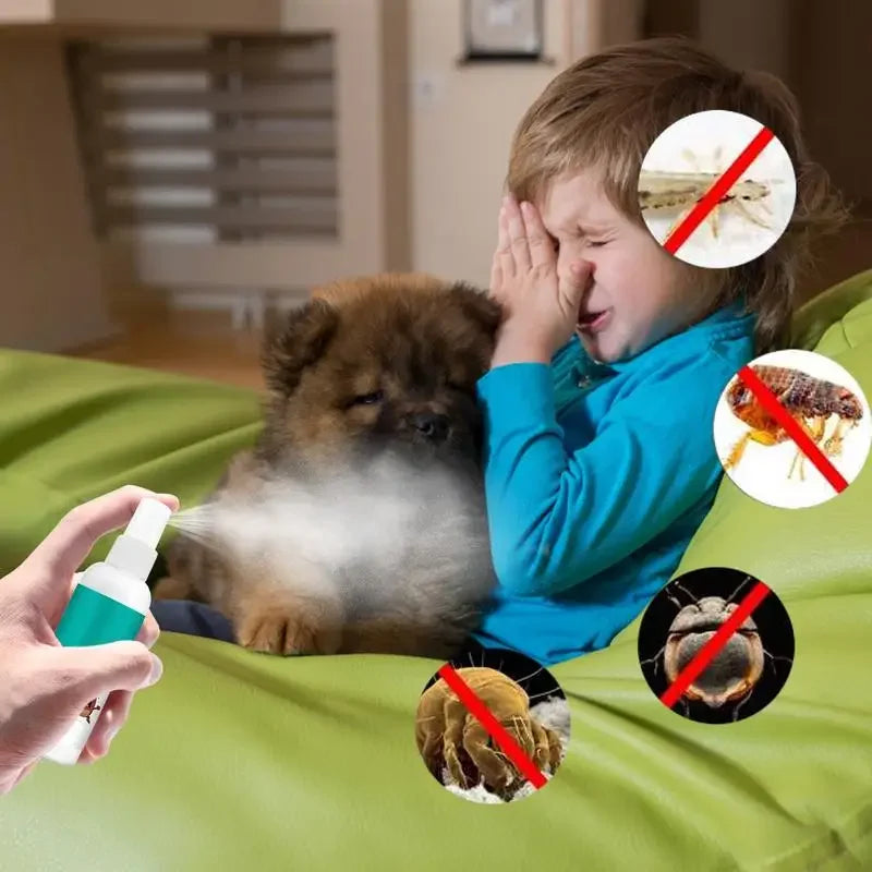 Insects Expellant Spray