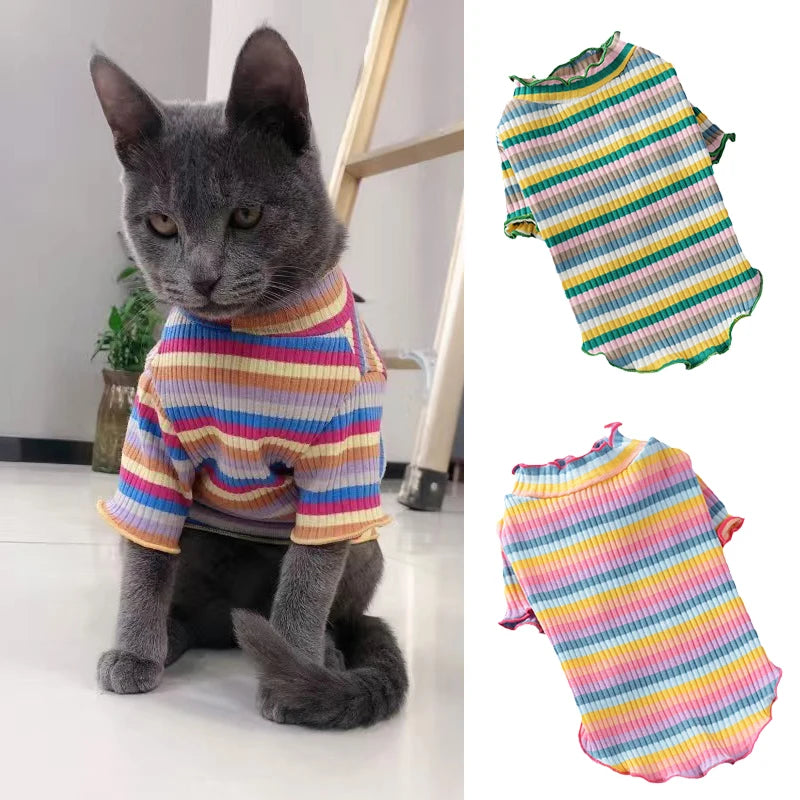 Colorful Stripe Cat Shirt