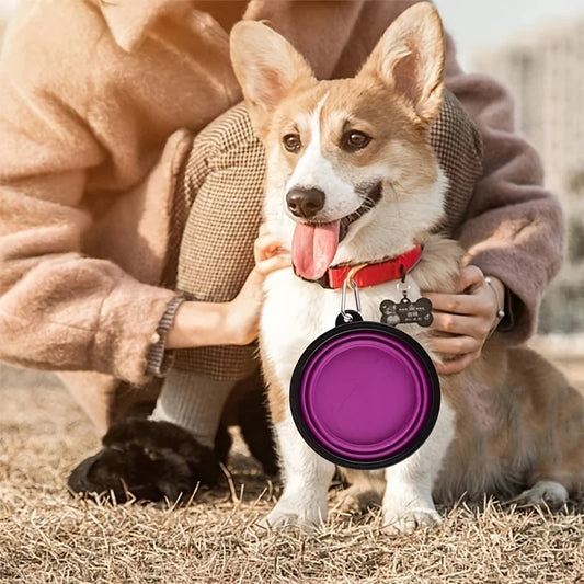 Portable Foldable Bowl