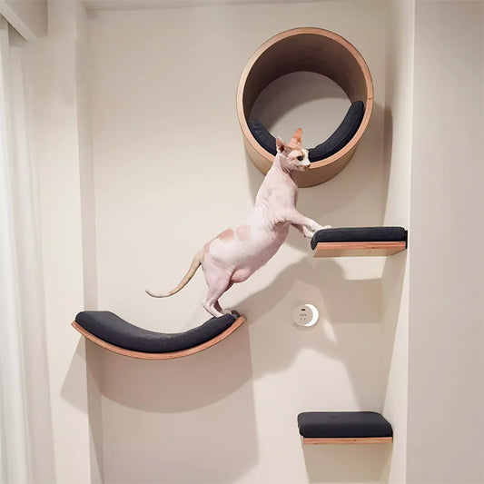 Wall Mounted Cat Tree Tower