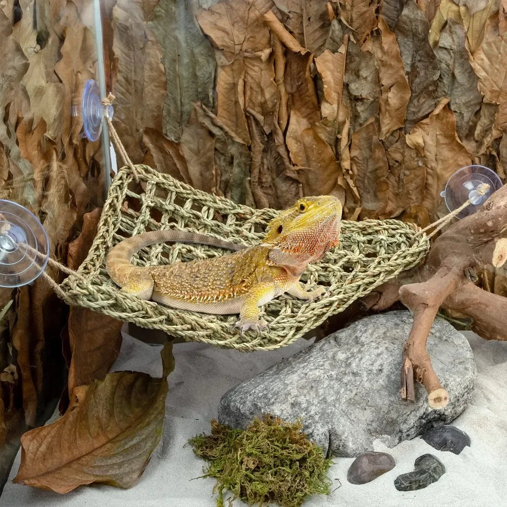 Bearded Dragon Hammock