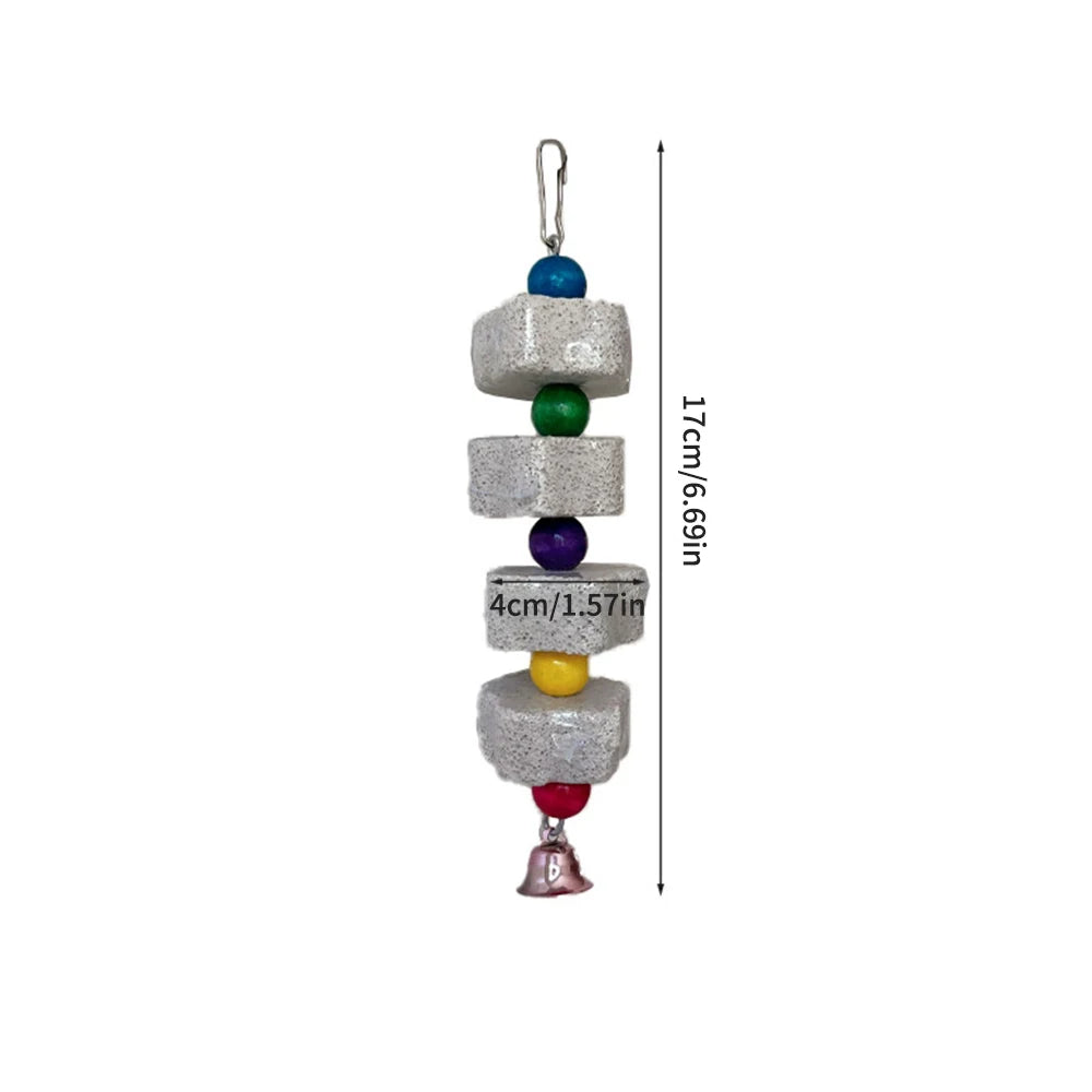 Bird Volcanic Rock Molar 1