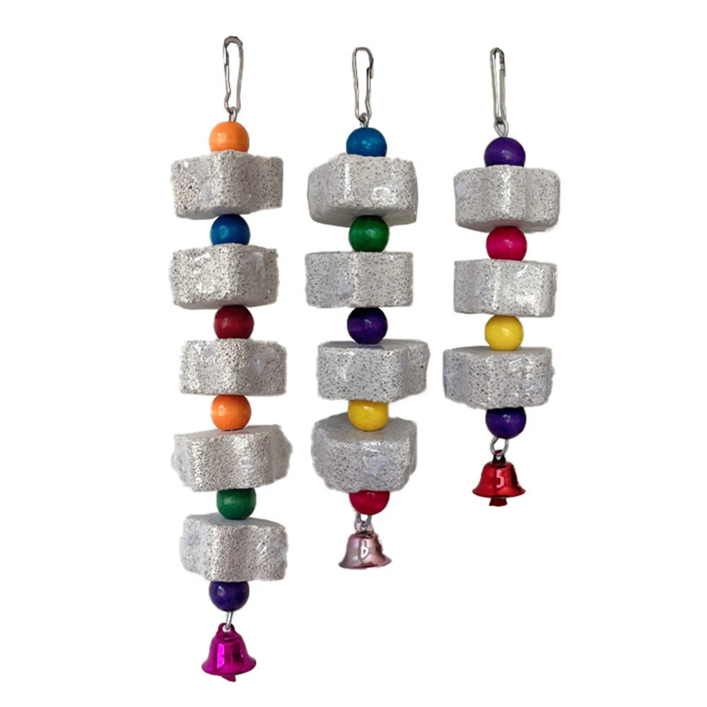 Bird Volcanic Rock Molar