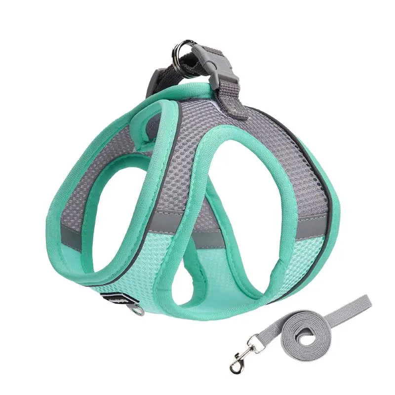 Adjustable Harness Set – Breathable Vest with Leash