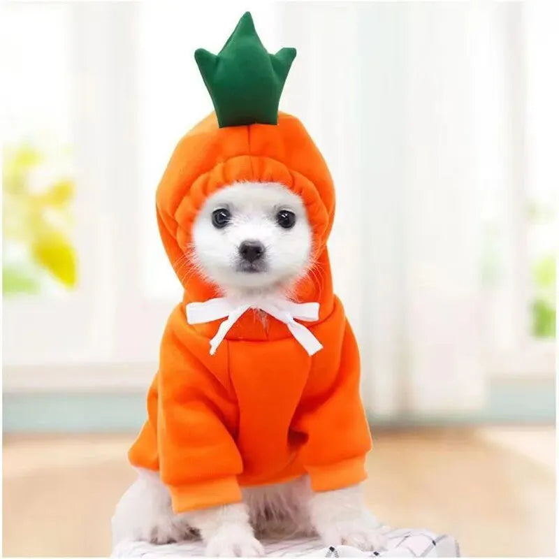 Cute Fruit Pet Costume
