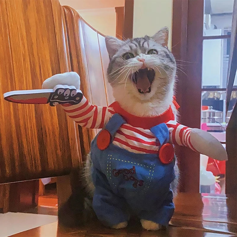 Funny Cat Halloween Costume