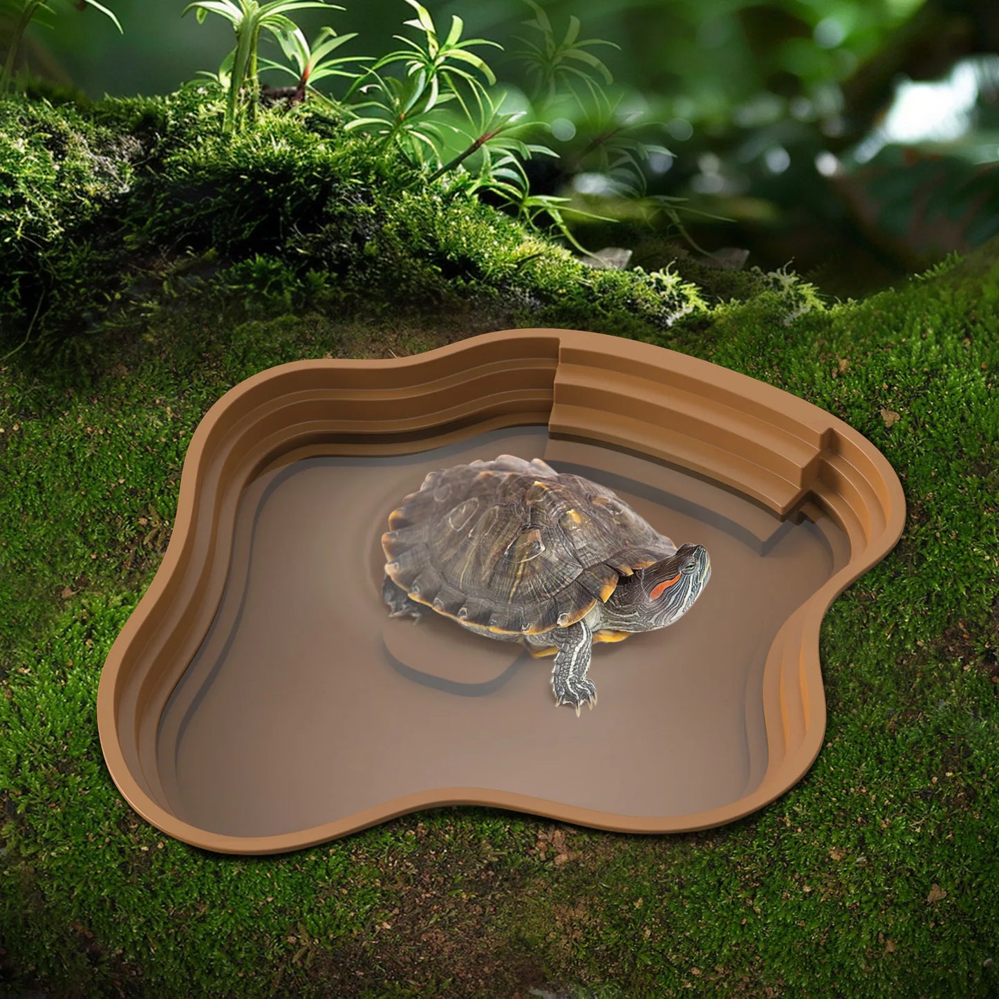 Reptile Feeding Bowl