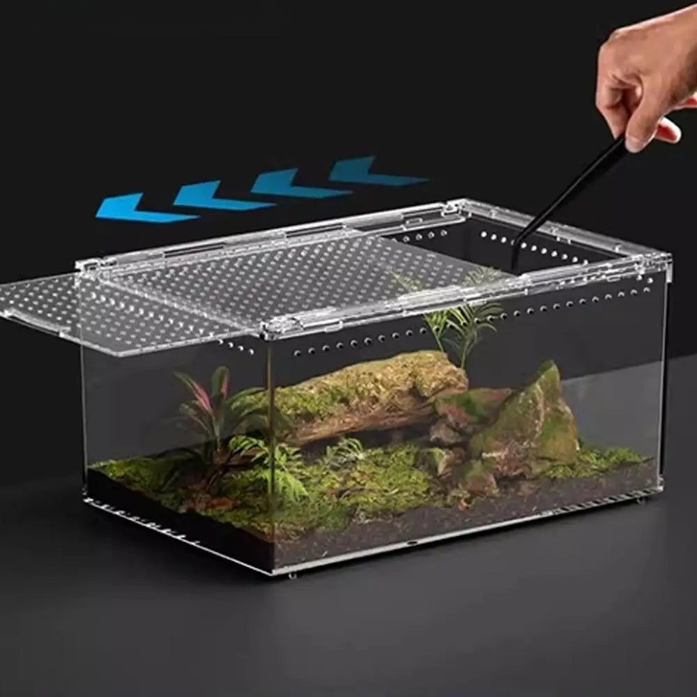 Acrylic Terrarium
