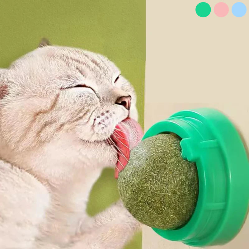Catnip Stick-On Ball