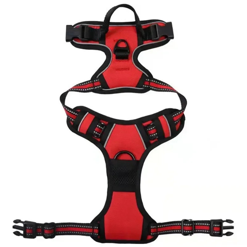 Reflective Adjustable Harness