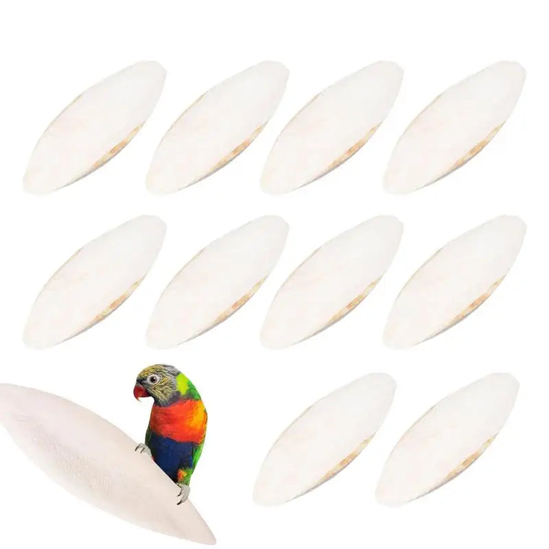 Bird Natural Cuttlebone Set (10pcs)