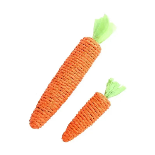 Carrot Teething and Teasing Stick