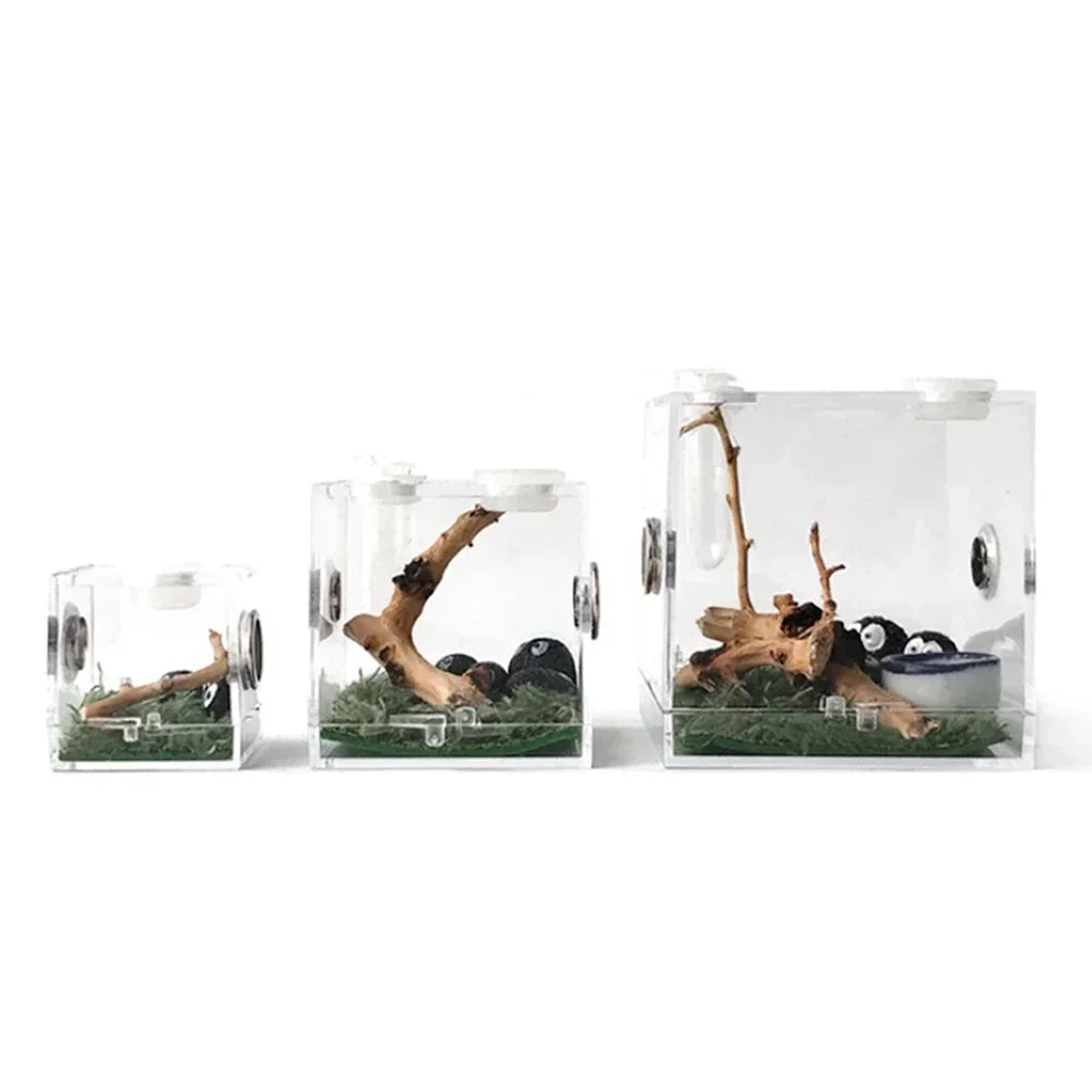 Reptile Acrylic Habitat