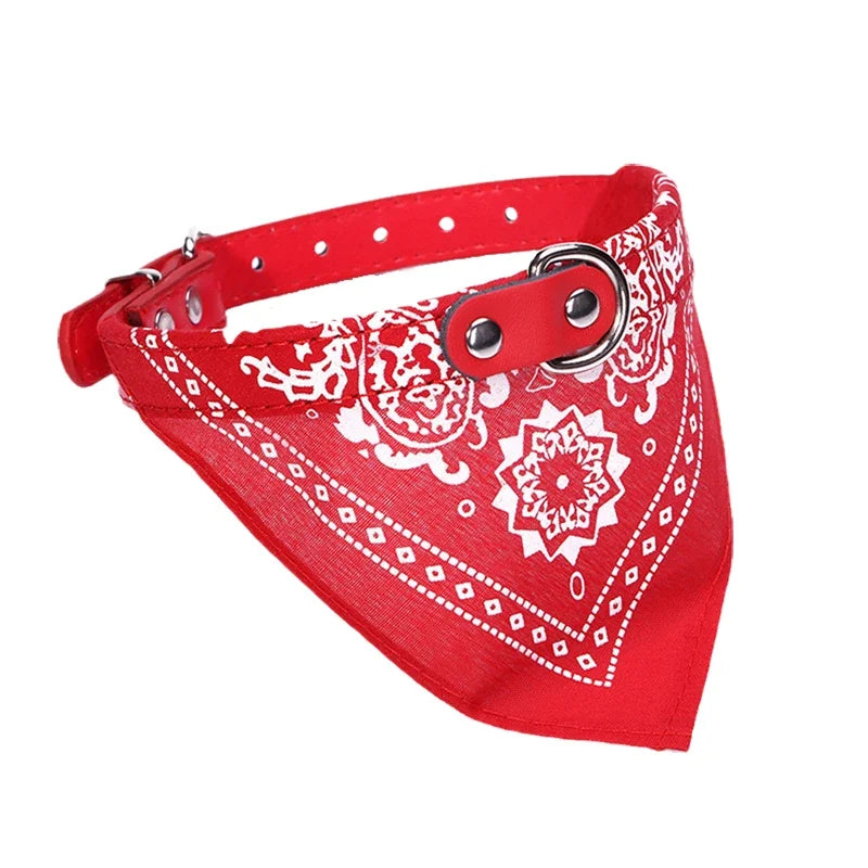 Collar Bandana