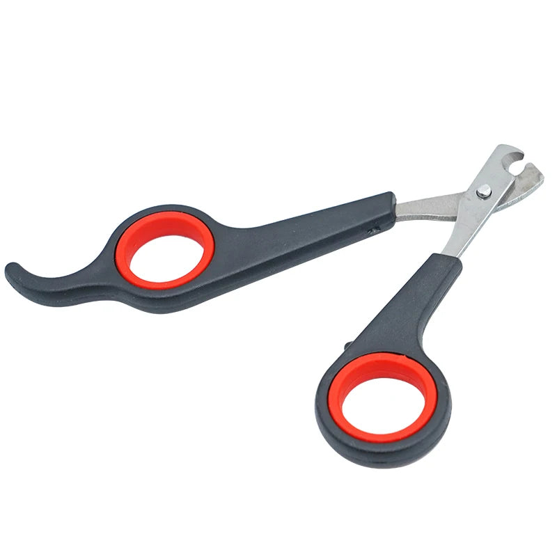 Parrot Nail Clipper