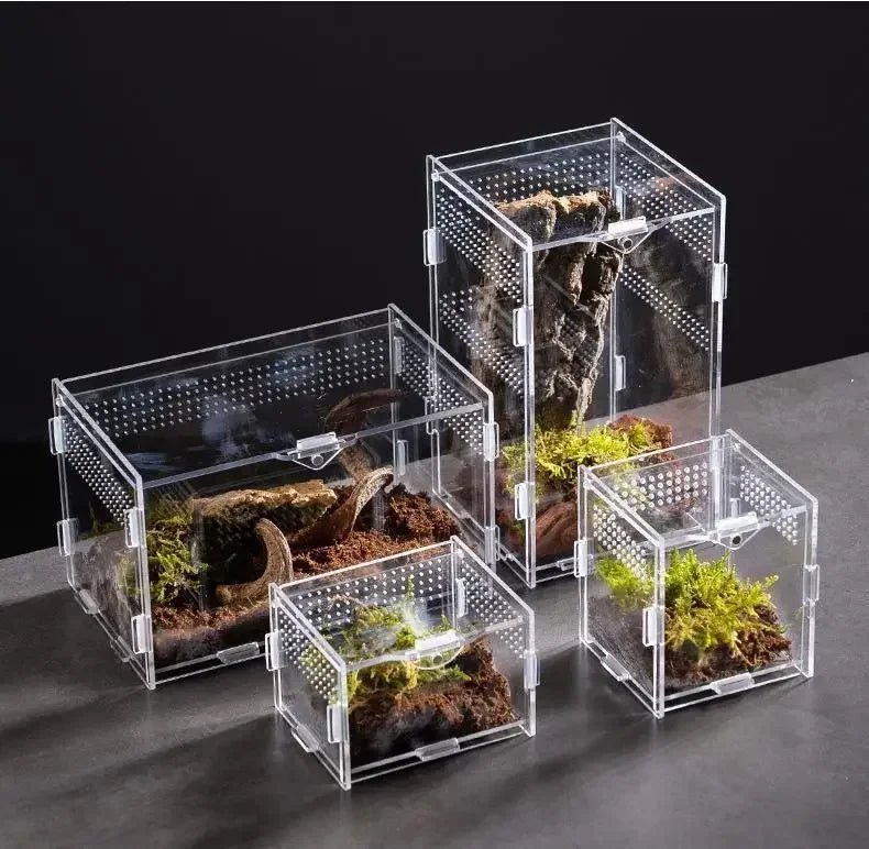 Reptile Acrylic Terrarium