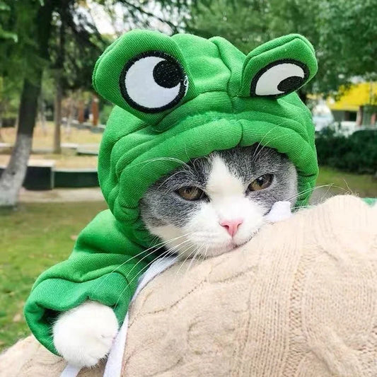 Frog Plush Hoodie