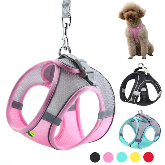 Adjustable Harness Set β Leash Included