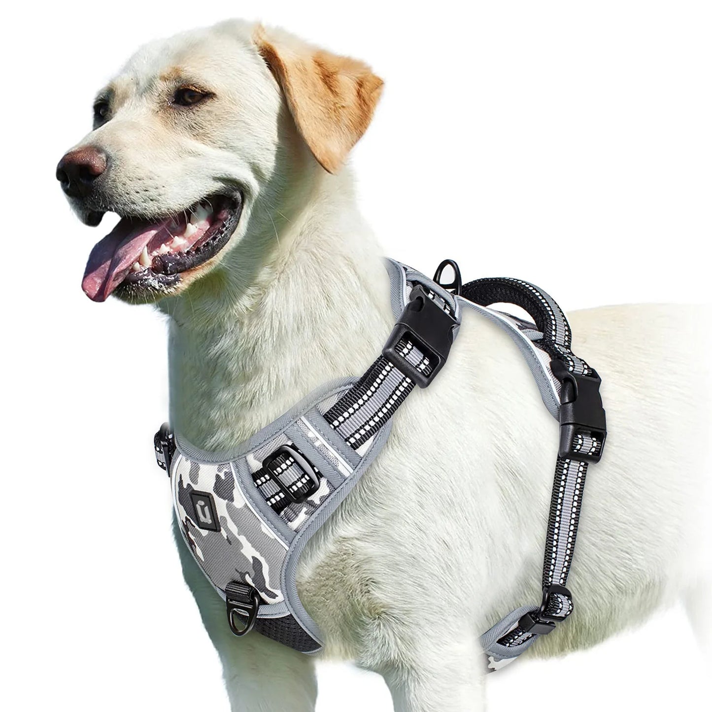 No-Pull Padded Harness