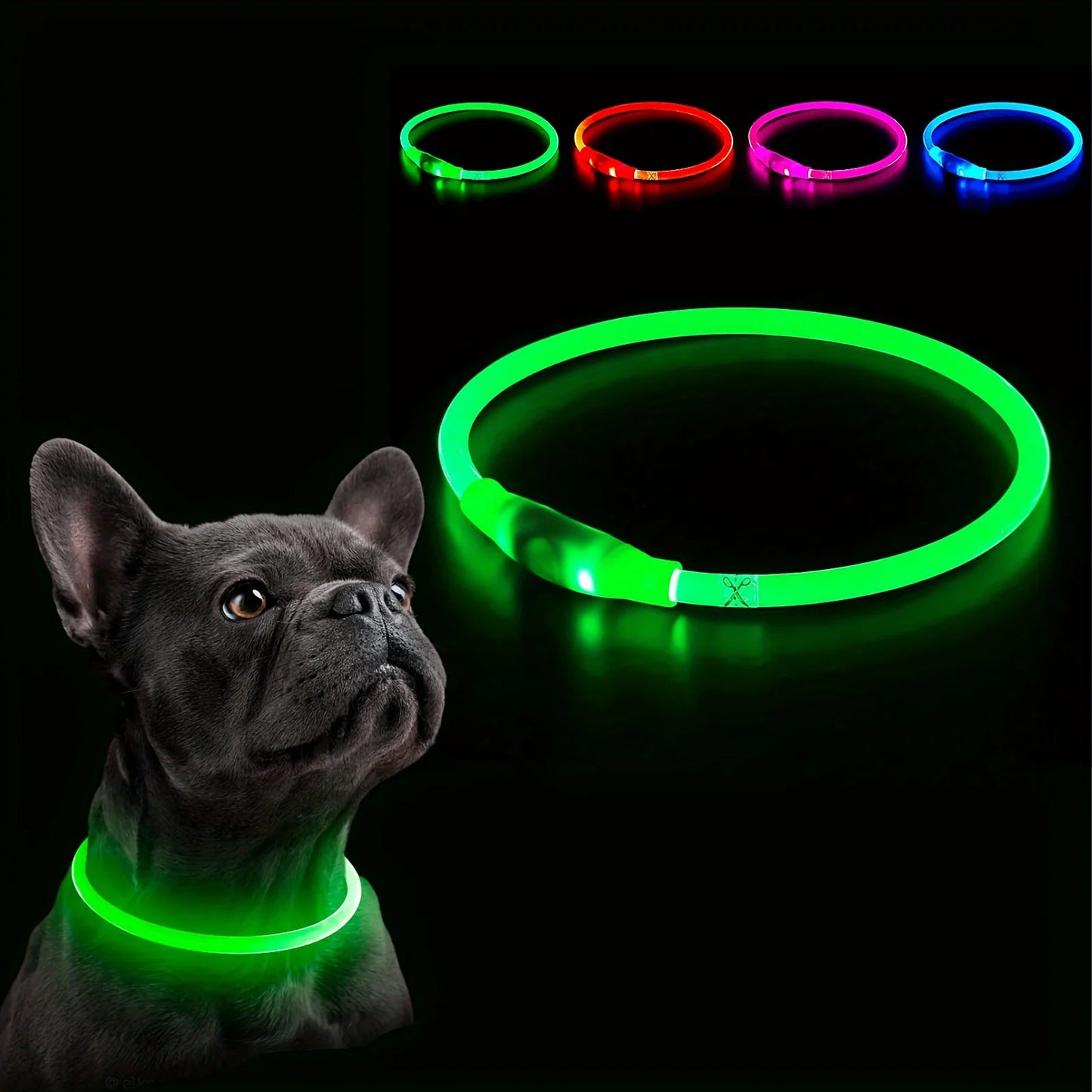 LED Collar