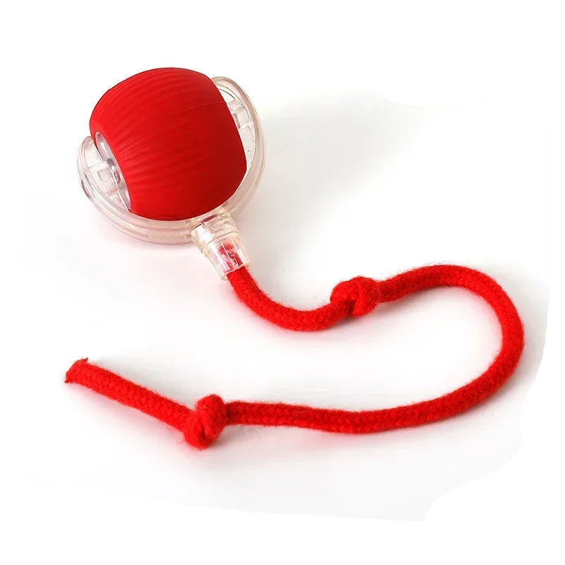 Interactive Ball Toy 4