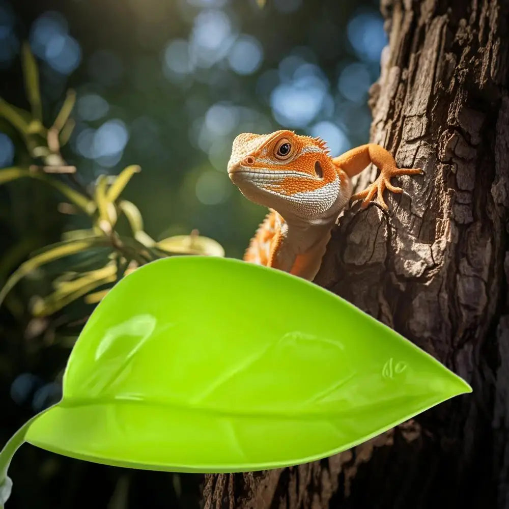 Frog Leaf Basking Platform