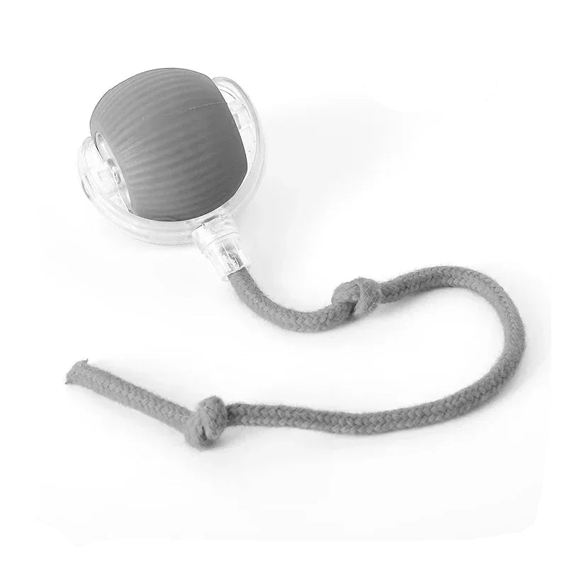 Interactive Ball Toy 4