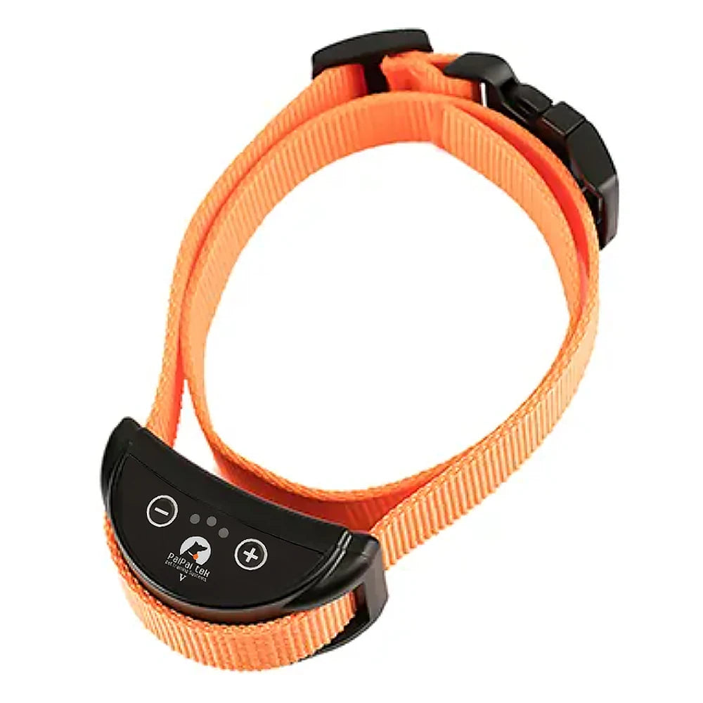 Anti Bark Training Collar 1