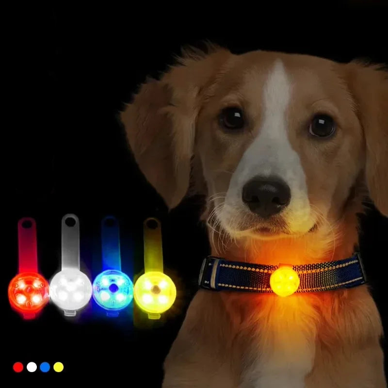 LED Collar