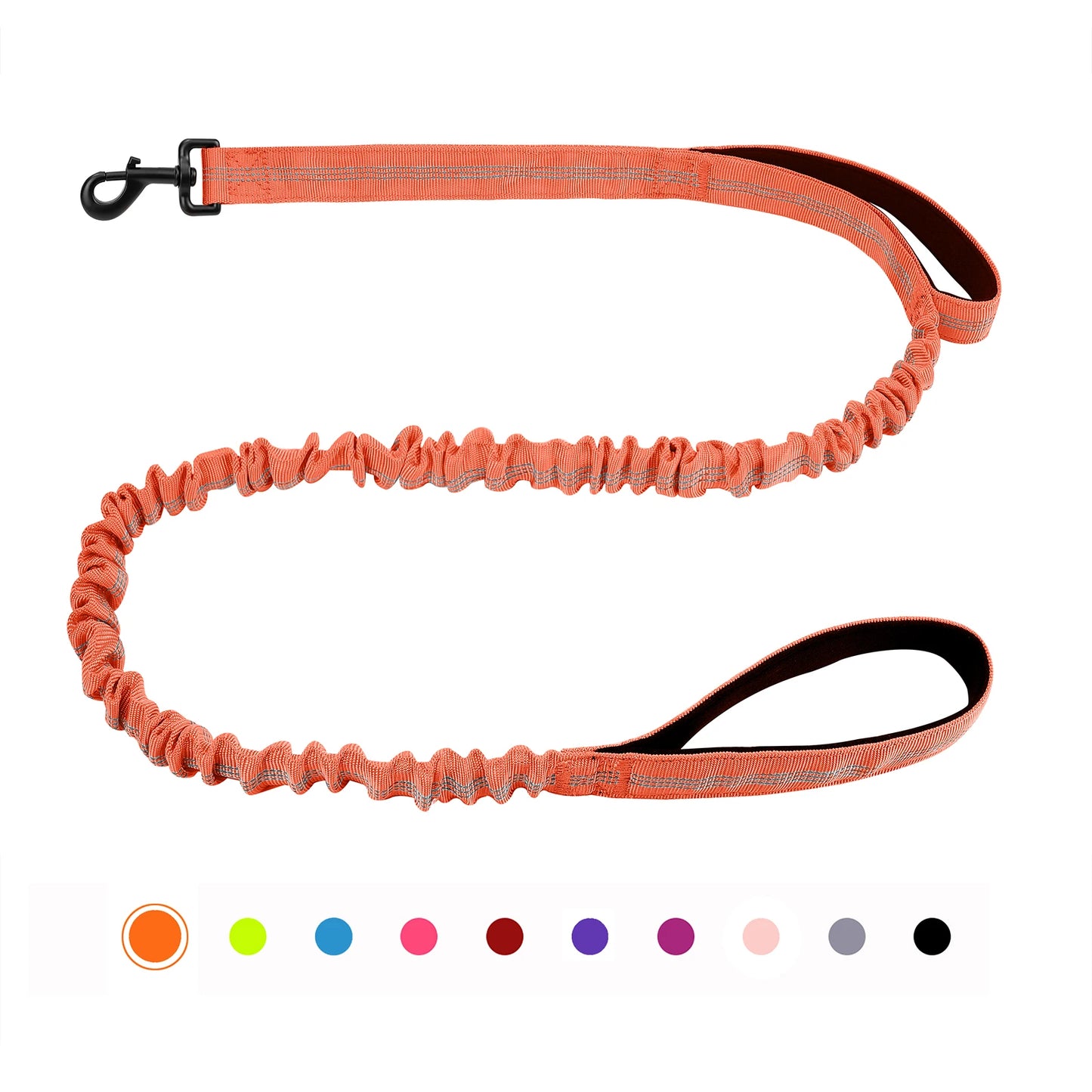 Bungee Leash with Shock Absorption