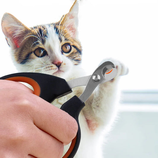 Half Moon Nail Scissors