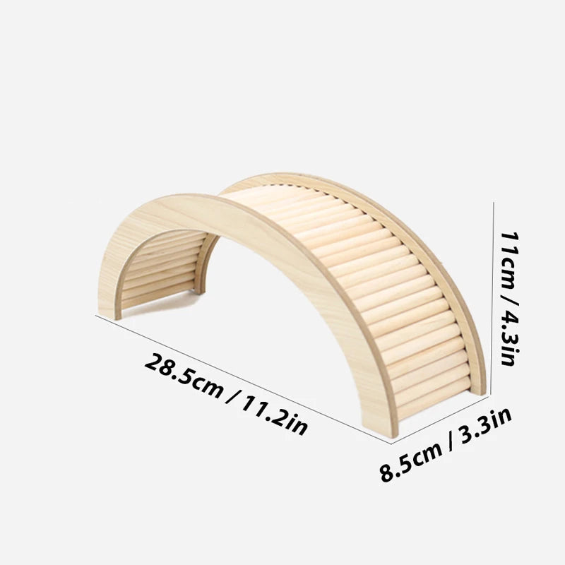 Hamster Climbing Ladder