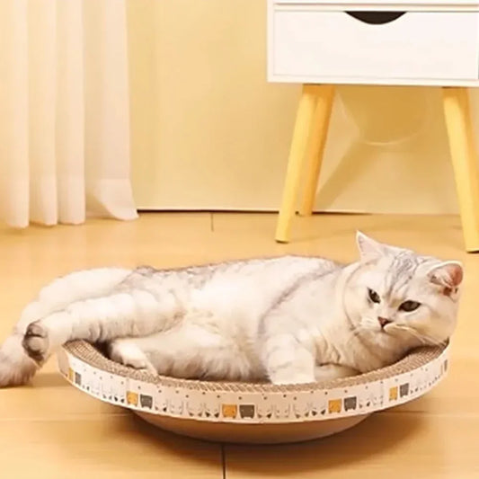 Cat Scratching Board 3