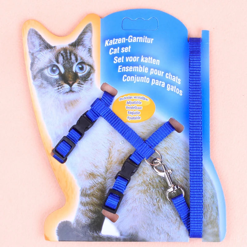 Cat Harness and Leash 1