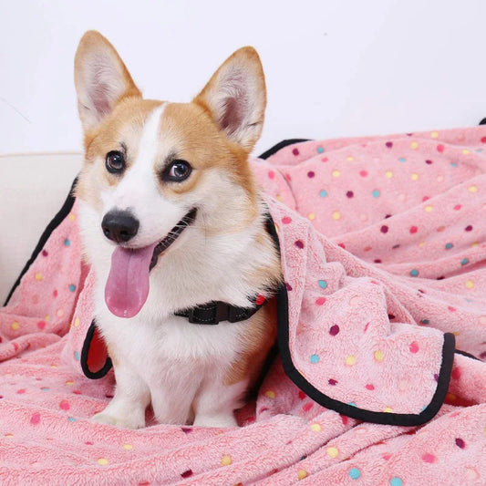 Fluffy Pet Blanket