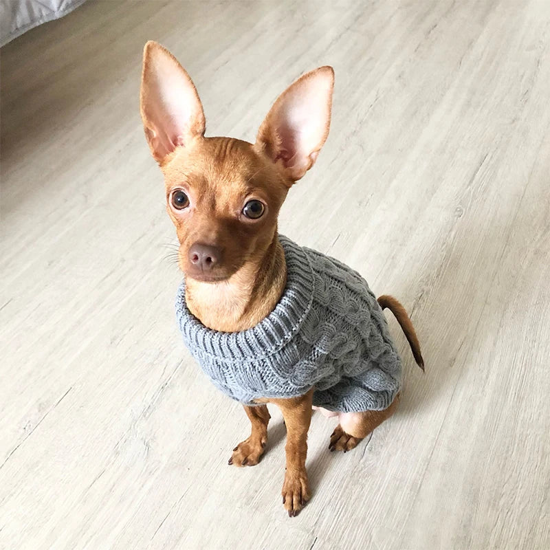 Small Dog Knitted Sweater 1