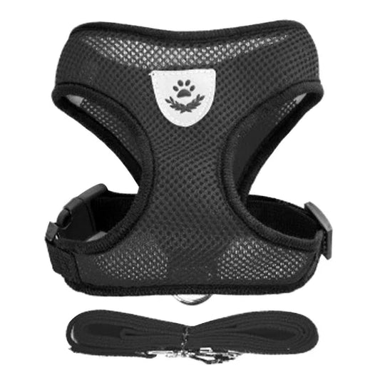 Cat Harness and Leash 2