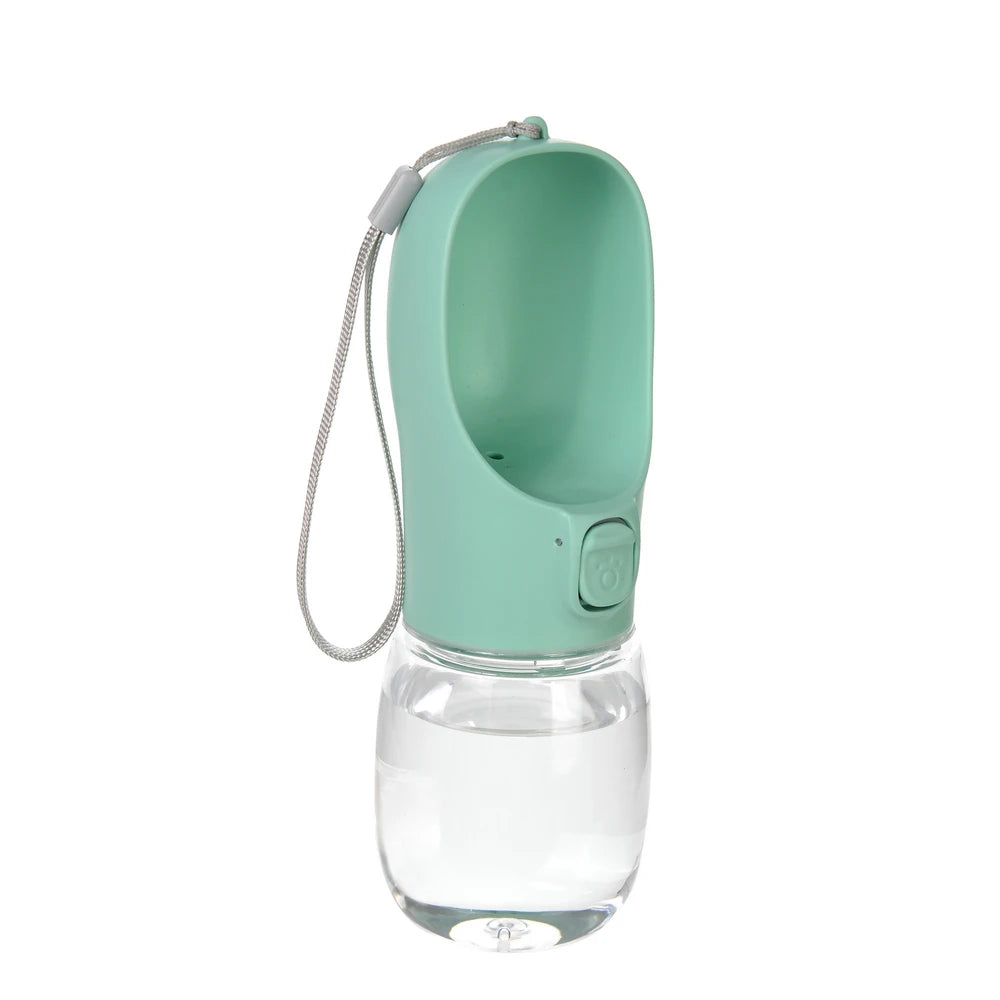 Portable Water Bottle