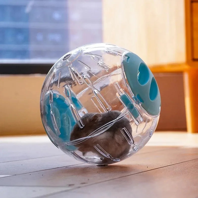 Transparent Hamster Ball