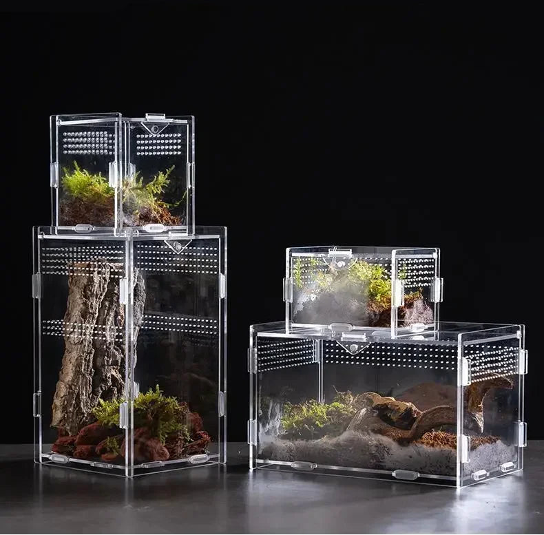 Reptile Acrylic Terrarium