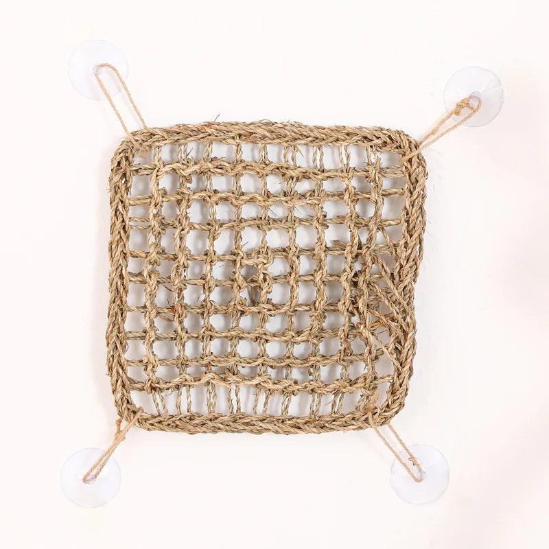 Bearded Dragon Hammock