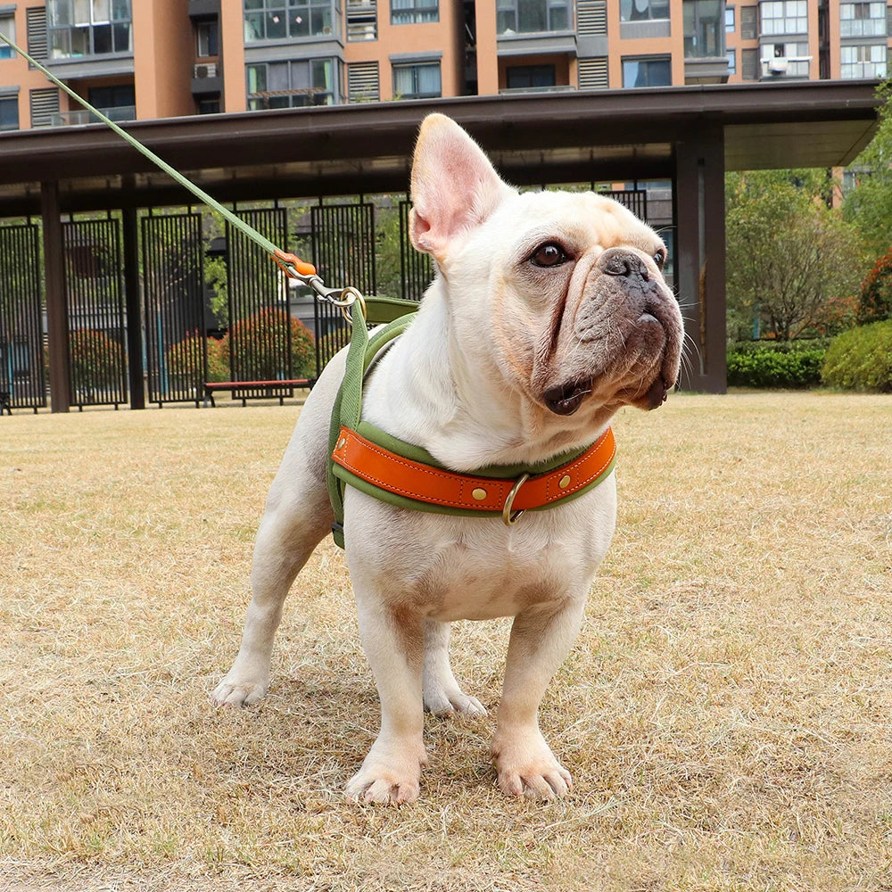 Reflective No-Pull Padded Harness