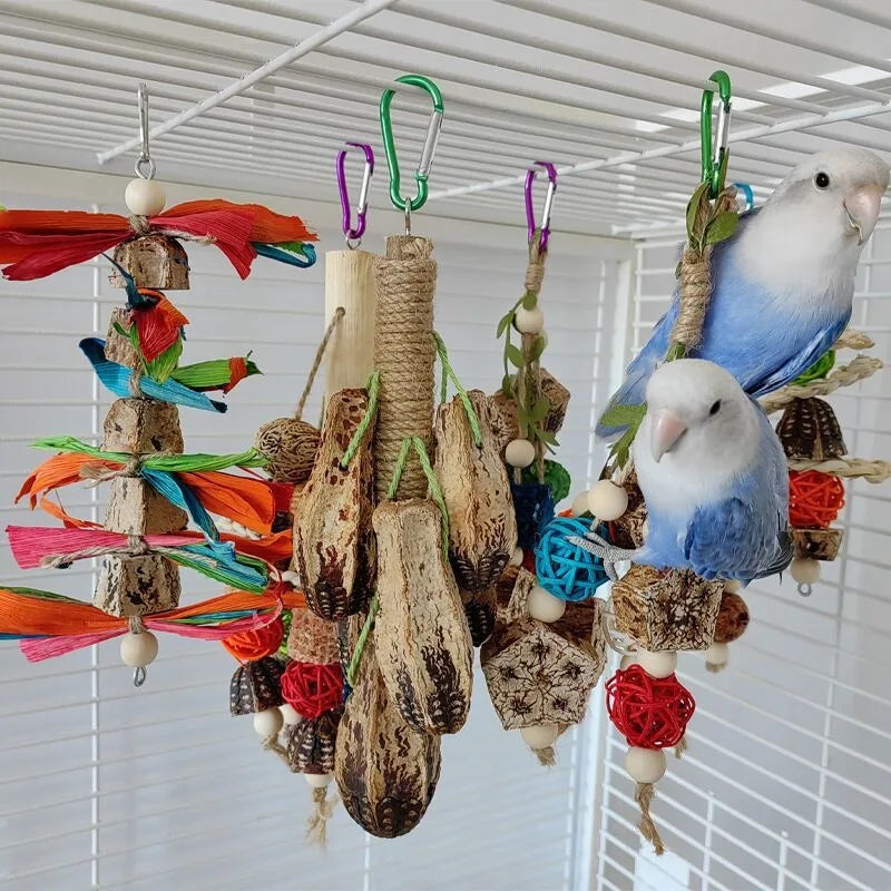 Parrot Toy