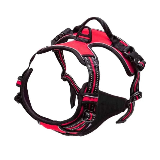 Reflective Adjustable Harness
