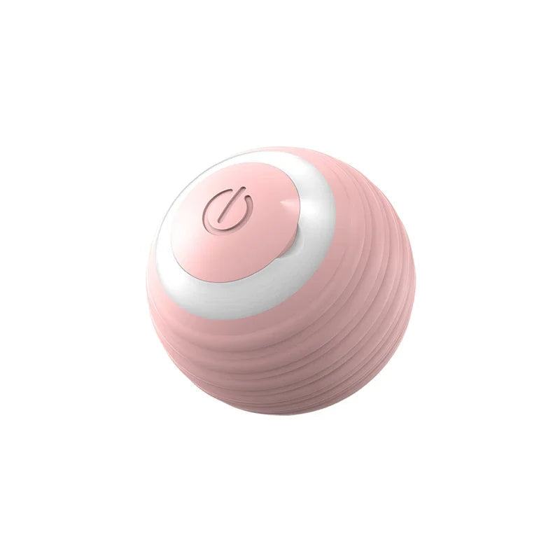 Interactive Ball Toy