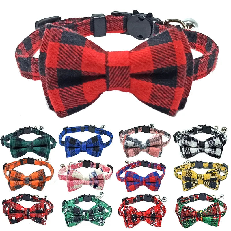 Bow Tie Collar  1