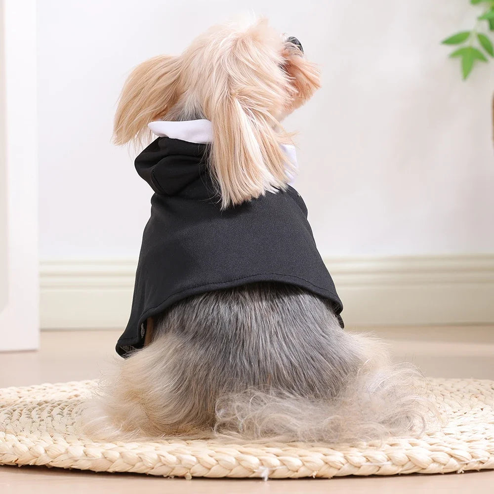 Funny Nun Pet Costume