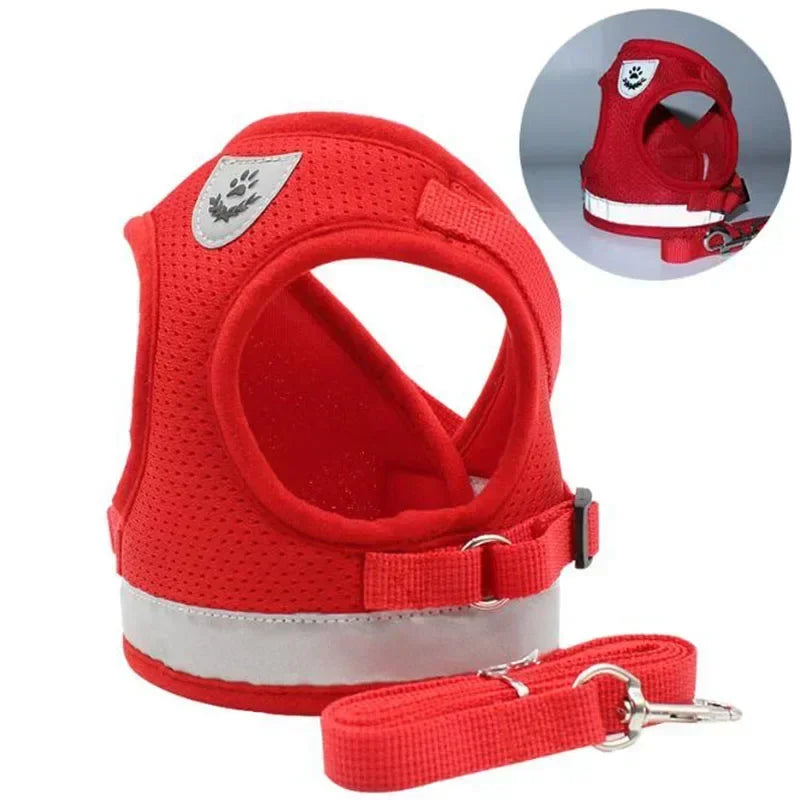 Adjustable Mesh Vest Harness & Leash Set