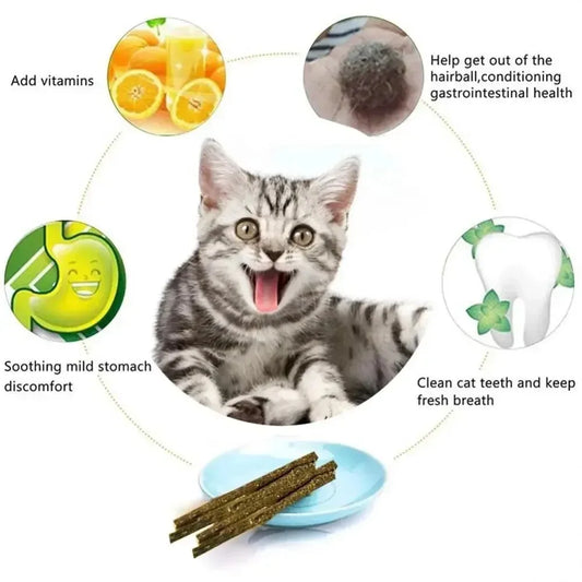 Matatabi Cat Sticks